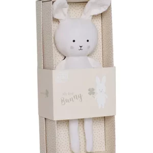 N0184 Gift Box Bunny 1